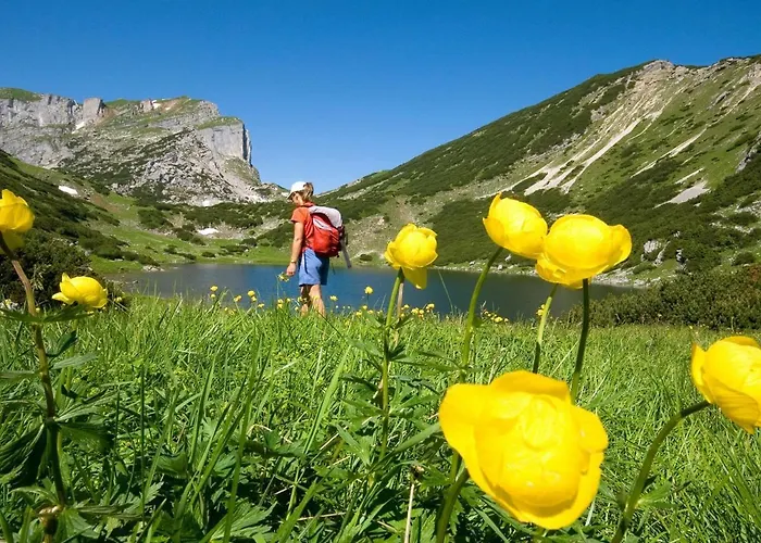 In Reith Near Juwel Alpbachtal *
