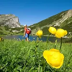 In Reith Near Juwel Alpbachtal *